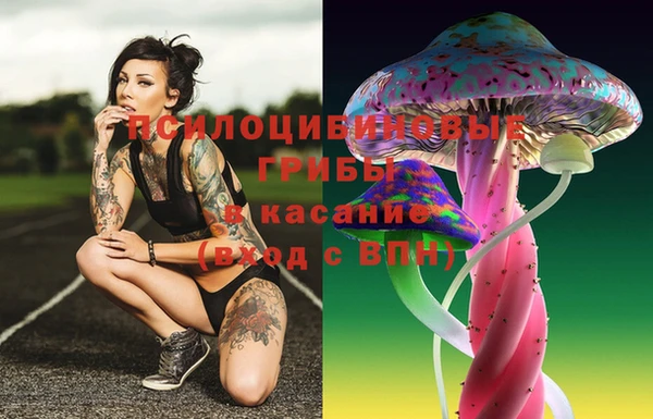гашиш Беломорск