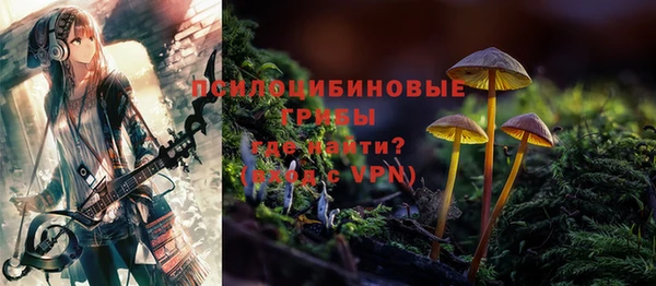 винт Белокуриха