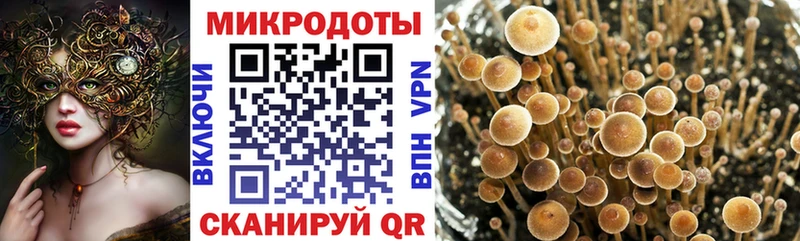 Псилоцибиновые грибы Magic Shrooms  Бузулук 