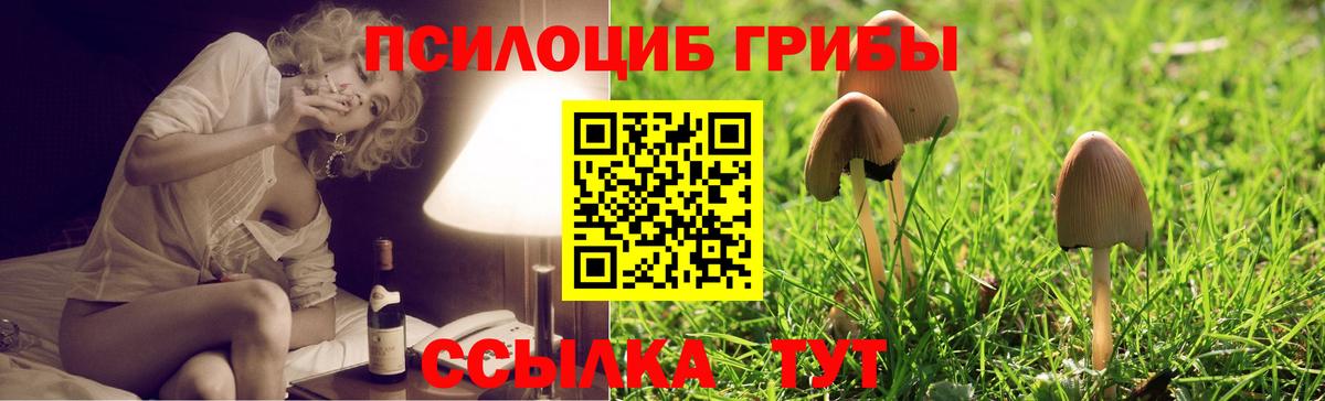 Бузулук  купить  цена  Вход с VPN  Псилоцибиновые грибы мицелий 